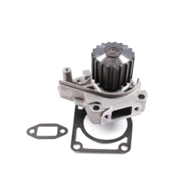 Abbildung von HEPU P1212 Wasserpumpe mit Dichtungen mechanisch
