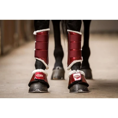 Abbildung von HB Ruitersport Beinschutz Crown Burgunderrot M