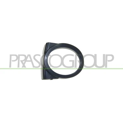 Abbildung von PRASCO BM0191242 Rahmen, Nebelscheinwerfer BMW: 3 Saloon, Convertible