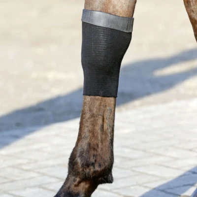 Abbildung von Kentucky Tendon Grip Gel Schwarz 2x25cm