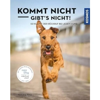 Abbildung von Kommt nicht, gibts nicht: So klappt der Rückruf bei jedem Hund