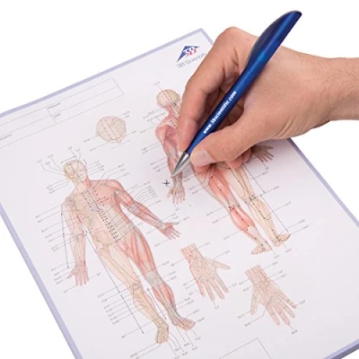 Abbildung von 3B Scientific Akupunktur Meridian Notizblock, Englisch
