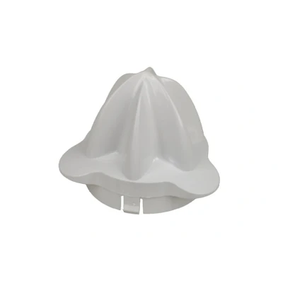 Abbildung von Delonghi Presse kegel mpz 6 64161627