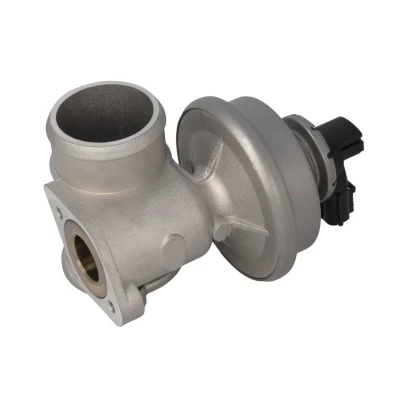 Abbildung von NISSENS 98420 AGR Ventil ohne Kühler FORD: MONDEO 3