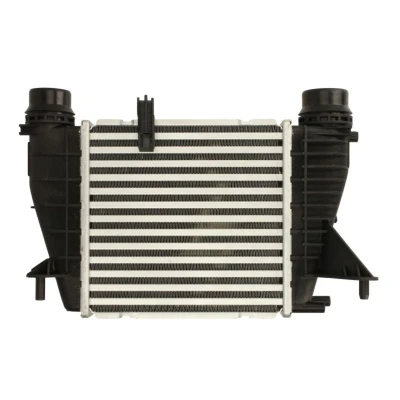 Abbildung von THERMOTEC DAR027TT Ladeluftkühler NISSAN: NV200 Box Body / Estate
