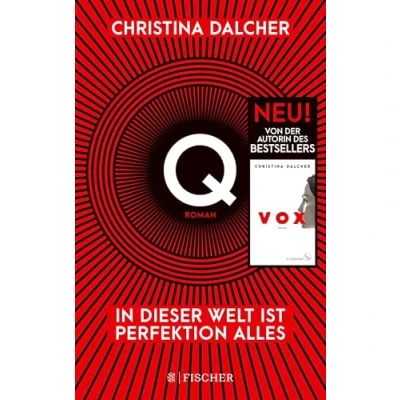 Abbildung von Q: In dieser Welt ist Perfektion alles Roman