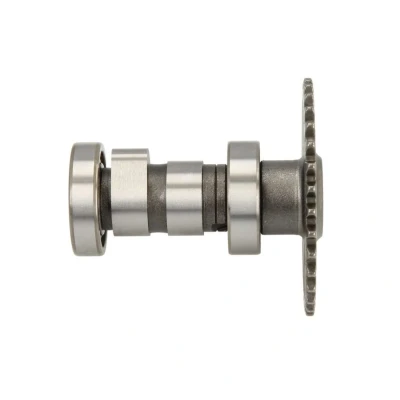 Abbildung von Nockenwelle INPARTS IP000156