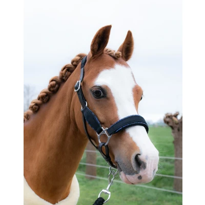 Abbildung von HB Halfter Showtime Velvet Little Sizes Schwarz/Navy Funkeln Shetland Agradi.deVerkauft von Agradi