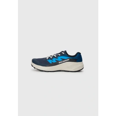 Abbildung von Salomon Alphaglide GTX Laufschuh Trail, Herren, Größe: 47 1/3, blue nights/lunar rock/french Schuhe