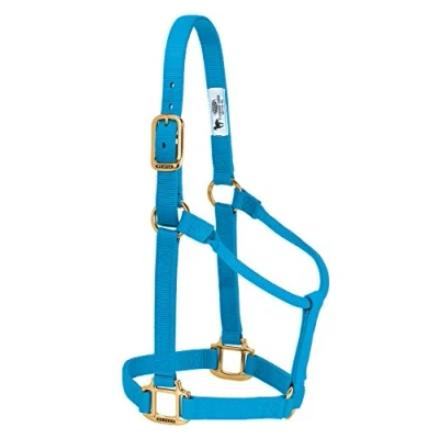 Abbildung von Weaver Leather Original Pferdehalfter, Nylon, nicht verstellbar, klein, Blau (Hurricane Blue)