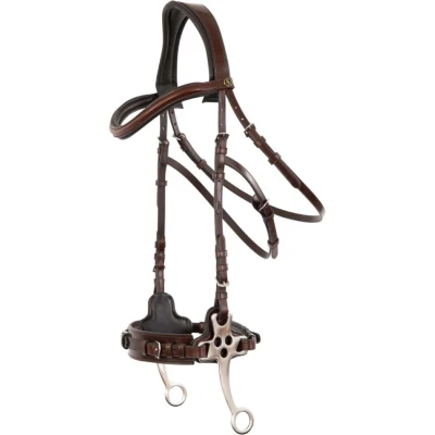 Abbildung von BR Trense Lydney Oak/Silber Warmblut