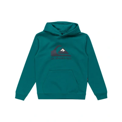 Abbildung von Quiksilver BIG LOGO Youth Unisex Kapuzenpullover, Herren, Größe: 176, Teal green