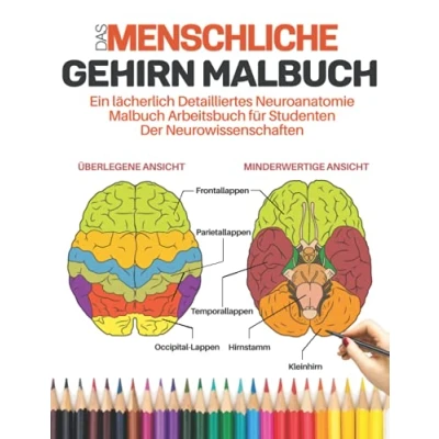 Abbildung von Das menschliche Gehirn Malbuch Ein lächerlich detailliertes Neuroanatomie Arbeitsbuch für Studenten der Neurowissenschaften: Lernen und ... Gehirns durch Ausmalen Beschriften