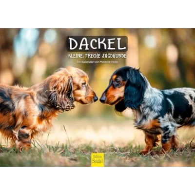 Abbildung von Edition Seidel Premium Kalender Dackel kleine freche Jagdhunde 2025 Format DIN A3 Wandkalender Hundekalender Hund Welpe Hunderasse Haustier Jagd Melanie Viola