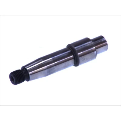 Abbildung von Exzenterwelle, Common Rail Pumpe BOSCH F 00R 0P1 118