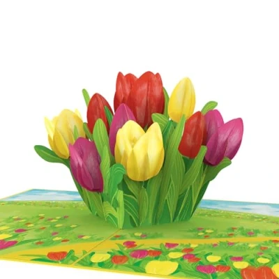 Abbildung von papercrush® Pop Up Karte Bunte Tulpen 3D Frühlingskarte, Blumenkarte für Freundin, Frau &amp; Mama (Geburtstagskarte, Gute Besserung, Danke) Glückwunschkarte mit Blumen zum Geburtstag im Frühling