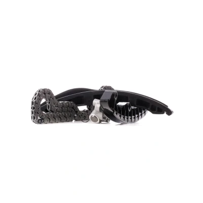 Abbildung von FEBI BILSTEIN 40672 Steuerkettensatz Zahnkette, Kette geschlossen VOLKSWAGEN: Polo V Hatchback, Scirocco III, Golf 5, SEAT: Ibiza 4 Sportcoupe