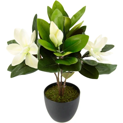 Abbildung von Magnolienbusch im Topf künstlich Blumen Deko Frühling Seidenblumen Raumdeko Magnolie Magnolienbaum Kunstpflanze Kunstblumen Kunstbaum Blume Zimmerpflanze Blüten Frühjahrsdeko Frühjahrsblüher Pflanze