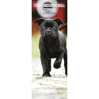 Abbildung von Staffordshire Bullterrier 2025 schmaler Kalender