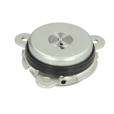Abbildung von PIERBURG 7.06117.12.0 Zentralmagnet, Nockenwellenverstellung