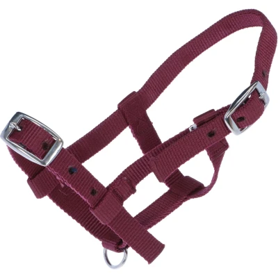 Abbildung von HB Halfter Nylon Bordeaux Fohlen Mini
