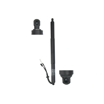 Abbildung von Elektromotor, Heckklappe STABILUS 202012