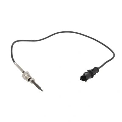 Abbildung von DELPHI TS30201 Sensor, Abgastemperatur FIAT: Doblo I Cargo