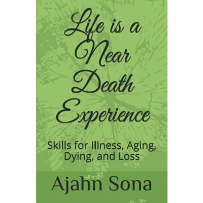 Abbildung von Life is a Near Death Experience: Skills for Illness, Aging, Dying, and Loss