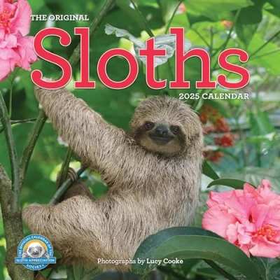 Abbildung von Original Sloths Wall Calendar 2025: The Ultimate Experts at Slowing Down