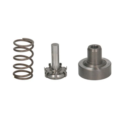 Abbildung von Kolben, Common Rail Pumpe BOSCH F 01M 101 349