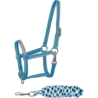 Abbildung von Harry&#039;s Horse Halfterset Foal Hellblau Fohlen