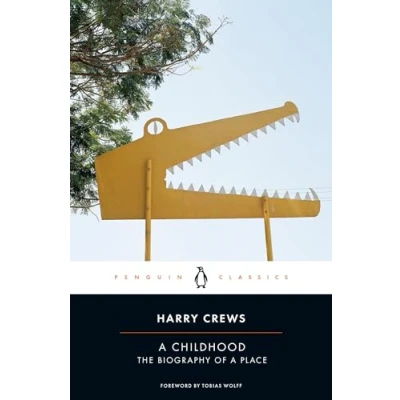 Abbildung von a Childhood: The Biography of Place (Penguin Classics)