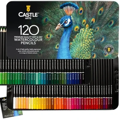 Abbildung von Castle Art Supplies 120 Aquarellstifte Set Leuchtende Pigmente Zeichnen und Malen zugleich Für fortgeschritten, professionelle Künstler I Geschützt sortiert in einer Präsentationsbox