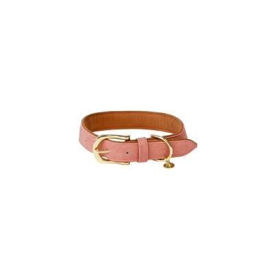 Abbildung von Kentucky HundeKragen Soft Vegan Leather Peach/Braun 28cm