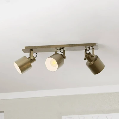 Abbildung von EGLO Deckenspot »SOUTHERY«, Leuchtmittel E27 wechselbar ohne Leuchtmittel, in gold und weiß aus Stahl exkl. 40W