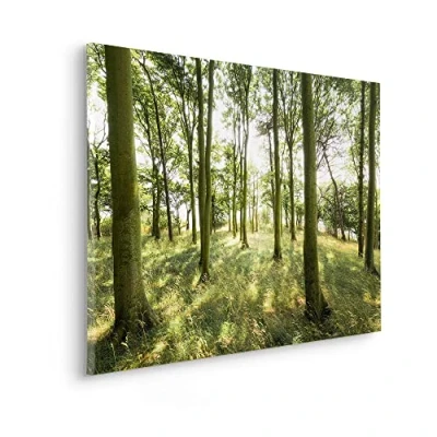Abbildung von Komar Leinwandbild »Dänische Buchen Größe 90 x 60 cm«, Baum Blätter Natur Berge Blumen Foto Jahreszeiten Landschaft Meer Strand Palmen, (Packung, 1 St.), Keilrahmenbild mi Echtholzrahmen