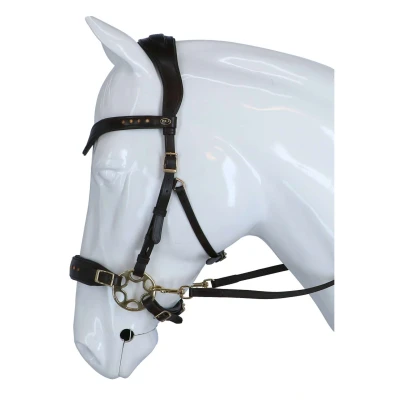 Abbildung von F.R.A. Trense Glory Hackamore Leder mit Perlen braun Warmblut