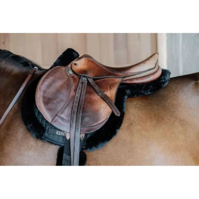 Abbildung von Kentucky Springdecke Hunter Wool Schwarz Warmblut