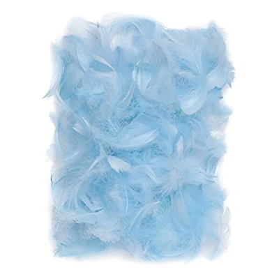 Abbildung von Netuno 150 Stück Blau Deko Federn 10g Flaumfedern Schmuckfedern Vogelfedern Bastelfedern Natur für DIY Basteln Dekoration Ostern Weihnachten Dekofigur