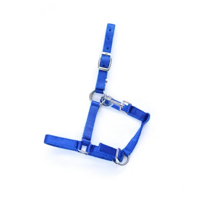 Abbildung von HB Fohlenhalfter Astrid Royal Blue Fohlen