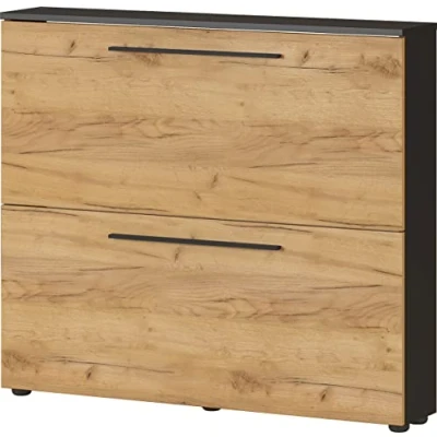 Abbildung von Germania Schuhschrank 3883 549 GW Wildomar, in Graphit/Navarra Eiche Nb., Platz für bis zu 8 Paar Schuhe, geringe Tiefe ideal schmale Flure, 100 x 85 19 cm (BxHxT)