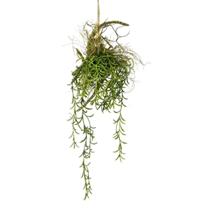 Abbildung von Tillandsia Hänger auf Ast Künstlicher Moos Hängeampel Grünpflanze Kunstpflanze Pflanze Zimmerpflanze Seidenblumen Dekopflanze Deko Isländischer Kunstmoos Hängende Girlande Busch Sträucher