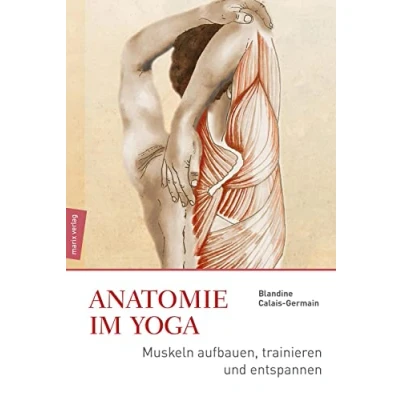 Abbildung von Anatomie im Yoga: Muskeln aufbauen, trainieren und entspannen