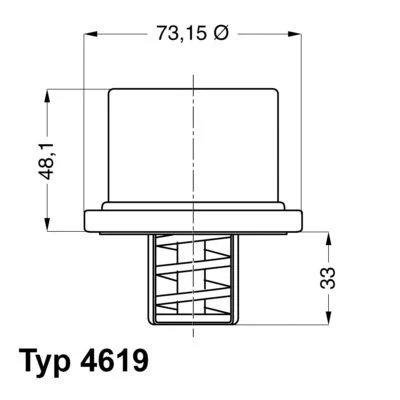 Abbildung von WAHLER 4619.75 Kühlwasserthermostat 75 mit Dichtung