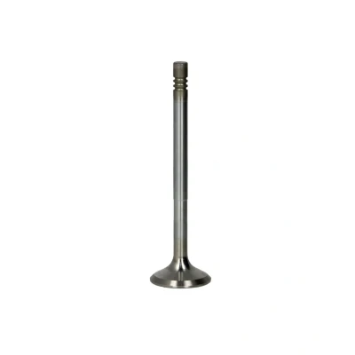 Abbildung von FRECCIA R6356/RCR Auslaßventil 25,4 Ventilschaft verchromt SMART: City Coupe