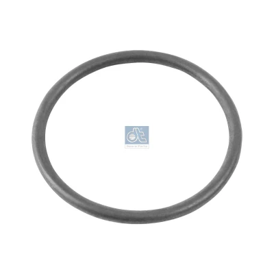 Abbildung von DT Spare Parts 4.20312 Dichtring