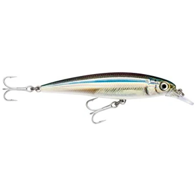 Abbildung von Rapala Unisex Adult X Rap Saltwater Locken, Anschovis, 12cm