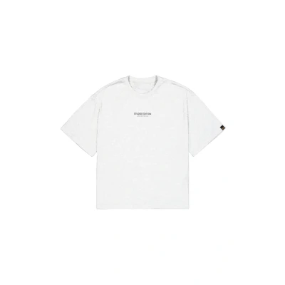 Abbildung von Alpha Industries Studio Edition Tshirt print, Herren, Größe: XL, Pastel grey melange