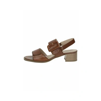 Abbildung von Caprice Sandalette, Blockabsatz, Riemchensandale, Businessschuh, verstellbarer Schnalle