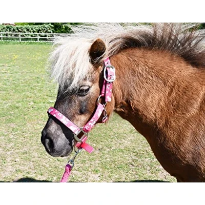 Abbildung von Rhinegold Einhorn Halfter und Seil Set Shetland Rasp, Himbeere